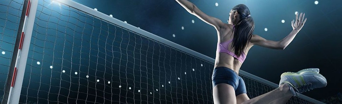 Professional Sport